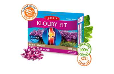 TEREZIA Klouby fit - Комплекс для суставов, 60 капсул
